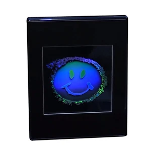 Smiley Gesicht 2D/3D Sammlerstück Hologramm Bild - GEPRÄGT - Schreibtischständer - Bild 1 von 12