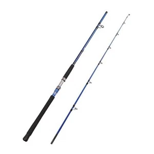  2-Piece Saltwater Spinning Fishing Rod Offshore Graphite 7' Medium Heavy - Picture 1 of 7