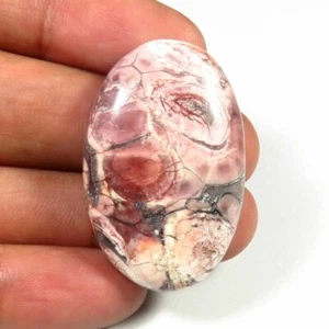 Natural Bird Eye Cabochon 35x22 mm Polished Smooth Jasper Oval Gems 41 Cts BI-04 - Picture 1 of 4