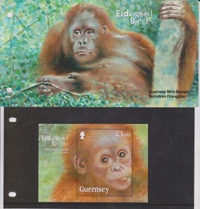 GB GUERNSEY 2014 Endangered Species/Sumatran Orangutan £3 Sheet Pk SG MS1503 MNH - Picture 1 of 4