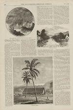 Hawaii Volcano Cocoanut Tree Bananas 2pgs w Text Original 1886 Antique Art Print