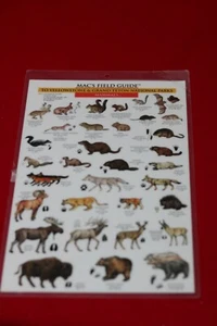 Mac's Field Guide to Yellowstone National Park & Grand Teton National Park - Picture 1 of 3