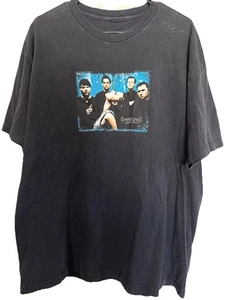 T-Shirt Evanescence Fallen Large/XL Tour Konzert Vintage Band 2003 selten - Bild 1 von 7