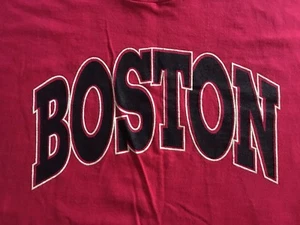 VTG. 90’s GENUINE BOSTON GRAPHIC-FRUIT OF THE LOOM-SHIRT-LARGE-RARE - Picture 1 of 4