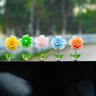 5pcs Resin Flower Bobbleheads Ornament Mini Car Mounted Cute Decoration  Car