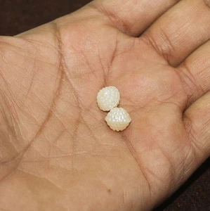 Cuentas de perlas acrílicas de 8 mm de 100 piezas - Imagen 1 de 8
