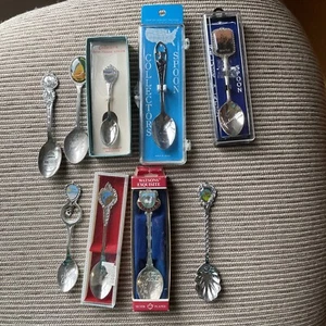 Lote De Colección De Cucharas Coleccionistas, Inoxidable Y Plateado, Lote De 9 Piezas - Imagen 1 de 7