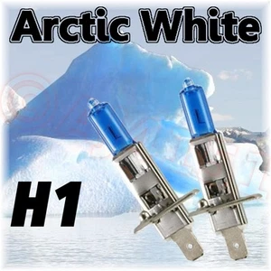 Rover MG Zt 02-09 Xenon Blanc Arctique Ampoules H1 501 - Picture 1 of 3