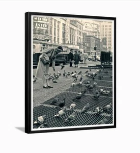 Pigeon feeder, Times Square - New York City 1952 Framed Photo - Picture 1 of 3