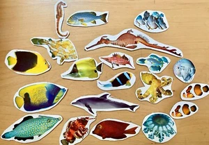 Dolphin,Sea Dragon,ClownFish,SeaHorse, Octopus & More Refrigerator Magnet Set - Bild 1 von 2
