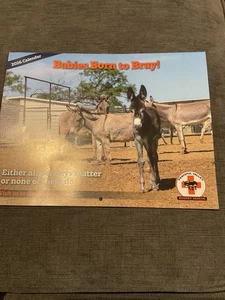2026 Wall Calendar Peaceful Valley Donkey Rescue Babies Born To Bray - Picture 1 of 3