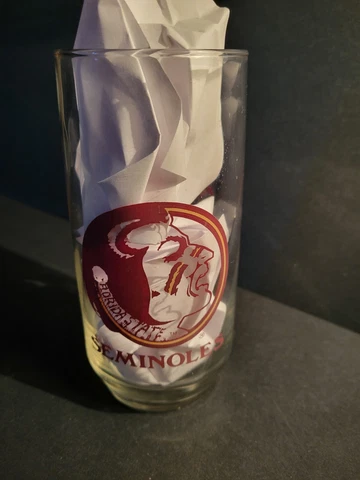 Vintage Florida State University Seminoles 6" Glass 16 oz Tumbler Cover