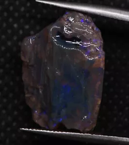 Australia Natural LIGHTNING RIDGE ÓPALO FÓSIL ÁSPERO 12,00 cts - Imagen 1 de 8