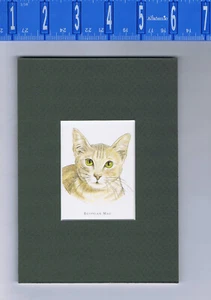Egyptian Mau Cat Art Print - 5 X 7 Matted - Picture 1 of 1