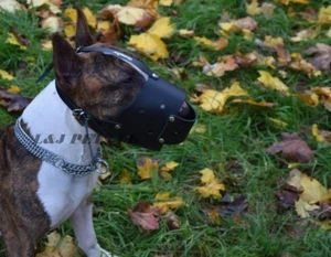 Hundehalskette Kettenhalsband | Metall Semi-Choke | 2 & 3 Reihen | Alle Größen Hundekontrolle - Bild 1 von 10