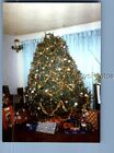 Found Color Photo J_2031 View Of Presents Under Christams Tree