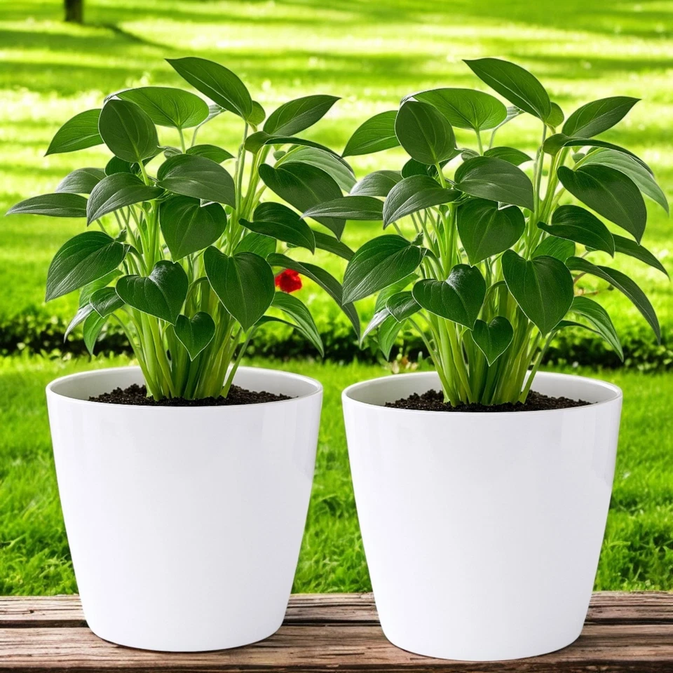 DIVAS WORLD White Plastic Plant Pots Pack of 2, 15cm Indoor Outdoor Garden Planters