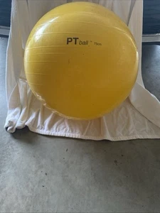 Exercise Ball PT 75 CM New - Picture 1 of 1