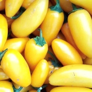 Lemon Spice Jalapeno Pepper Seeds | Hot - Picture 1 of 1