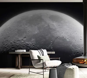 Moon Wallpaper. Space Theme Peel and Stick Black and White Wall Mural. #6532 - Picture 1 of 18