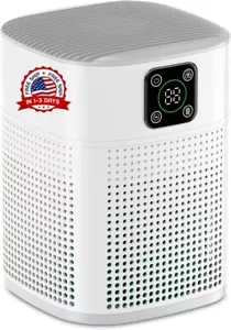 Purificador De Aire Con Filtro HEPA Eliminador De Olores Alergias Polvo Moho - Imagen 1 de 8