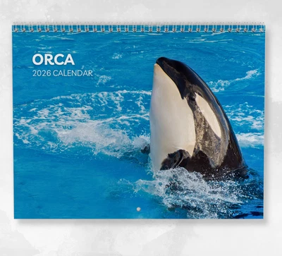 BOYCE PUBLISHING Orca Calendar 2026: Monthly Wall Calendar with Notes, opens to A3 Size