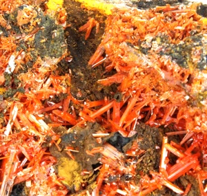Crocoite Crystals. Adelaide Mine. Dundas. Tasmania Australia (EA10005) - Picture 1 of 7