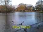 Photo 6x4 Duck pond on Barnes Green  c2014