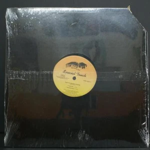 SPECIAL TOUCH - LET'S MAKE LOVE - FUNK\SOUL VINYL 12" SINGLE SEALED - Picture 1 of 2