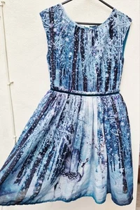 Next Girls Teal Green Winter Woodland Christmas Party Dress Age 10-11 Years - Picture 1 of 10