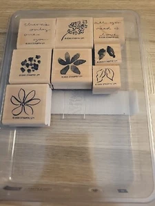 Stampin Up! PAINTED POSIES Stamp Set 8 Rubber Images Flowers Two-Step Stamping - Picture 1 of 7