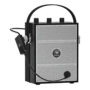 Sanmic 40W S98 Wireless Voice Amplifier Portable Bluetooth 5.3 PA UHF Winbridge - Bild 1 von 6