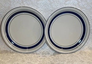 Set of 2 ~ Vintage BLUE CROCK by Tienshan 10.75” Dinner Plate - Picture 1 of 7
