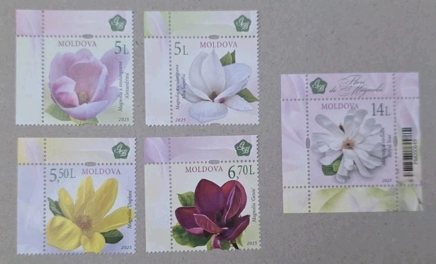 Moldova stamps 2025. Magnolia flowers. 4 stamps and S/S. MNH  - Image 1 of 1