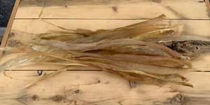 5 Deer Backstrap Sinew Authentic 14-16” - Picture 1 of 3