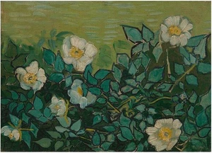 Art Giclee Printed Oil Painting Van gogh Wilde rozen Home Decor Canvas - Picture 1 of 2