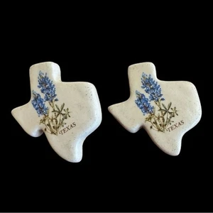 Vintage Texas Bluebonnet Pottery Stud Earrings With Blue Bonnets - Picture 1 of 14