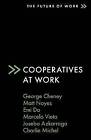 Cooperatives at Work, George Cheney,  Paperback