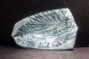 Studioglasplatte mit Farnen von Edwin D. Walter - 9 1/8" - neuwertig - Bild 1 von 1