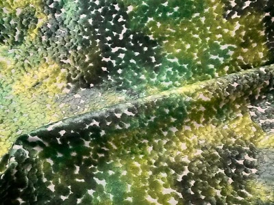 CASSARO PO2194/02 Pomona Terciopelo Esmeralda Viscosa Poli Terciopelo Tela Italia POR Y Foto 1 de 4