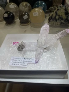 Amethyst Vera Cruz With Enhydro Specimen - Picture 1 of 3