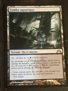 Tombe aquatique VF Français - French Watery Grave - Magic Mtg - - Picture 1 of 1