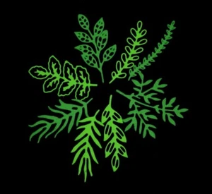 8 Metal Cutting Dies of Leaves, Leaf, Vegetation Card Making, Scrapbooking C3 - Picture 1 of 7