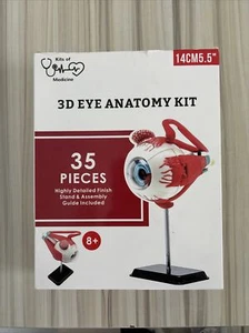 Menschliche Anatomie Augenmodell | 35 Stück 3D menschliches Auge Puzzle 5,5 Zoll - Bild 1 von 6