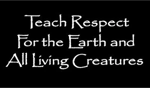 Teach Respect For The Earth Decal Vinyl Car Window Awareness Teaching Sticker   - Picture 1 of 2