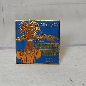 Vintage 2002 Foothills Festival Albany Kentucky Lapel Pin - Picture 1 of 2