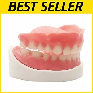 Temporary DIY Denture Replacement Kit: Full Set for Medium & Large Mouths - Picture 1 of 8