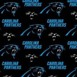 Handmade Valance or Curtain Panel Panthers - Picture 1 of 8