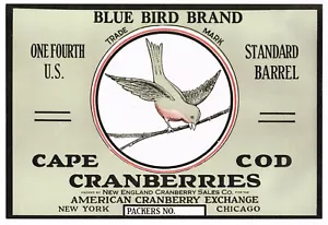 VINTAGE 1930S CRANBERRY CRATE LABEL NEW YORK CAPE COD CHICAGO BLUE BIRD 1/4 BBL - Picture 1 of 1