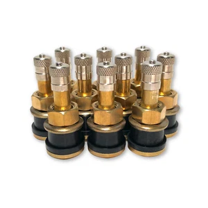 Ten TR501 Straight Brass Clamp in Tubeless 1.5-inch Truck or Bus Valve Stems - Picture 1 of 5